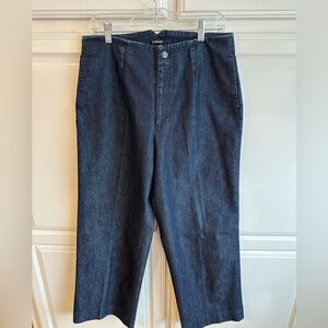 NWOT J Peterman dark wash high waist wide leg denim jeans pants size 14 WJ111